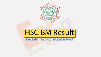 BTEB HSC BM Result 2024 by Online with Number
